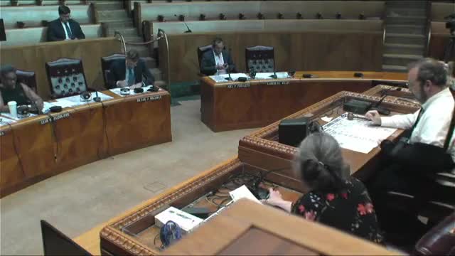 City law department explains limits on advising private businesses about firearms; item tabled