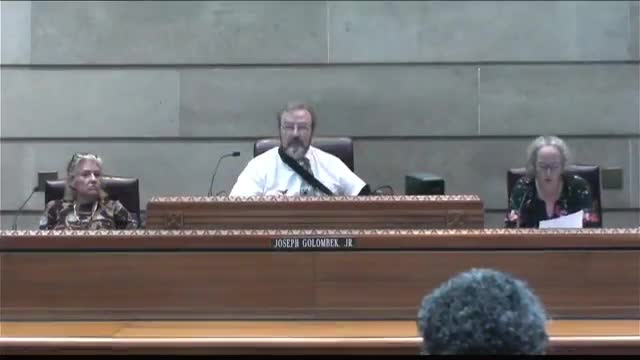 Council sends Broadway-Fillmore behavioral health matter to Police Oversight committee after county outlines harm-reduction work