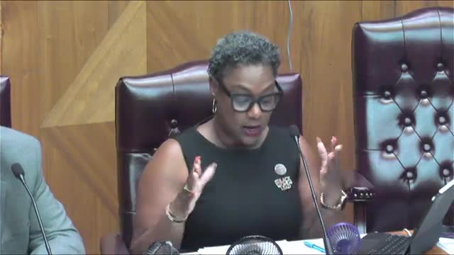 Buffalo City Council Discusses Arts Funding and Community Engagement Strategies