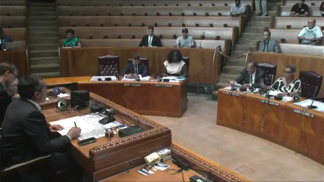 Council committee adopts plan to create Juneteenth Next Gen Legacy Lab to engage young people at festivals