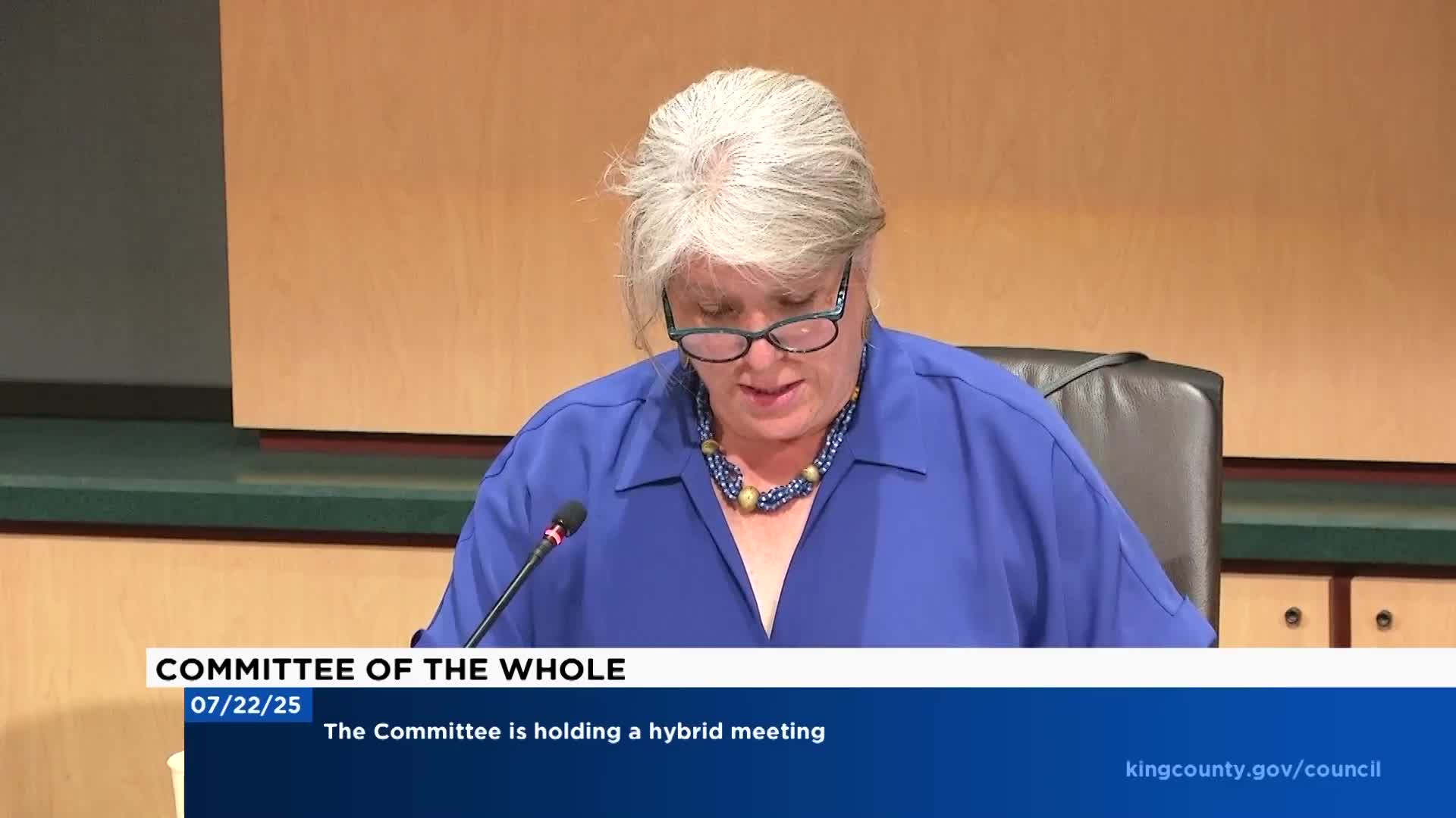 Committee of the Whole approves minutes, extends acting IT director and confirms Harborview trustee