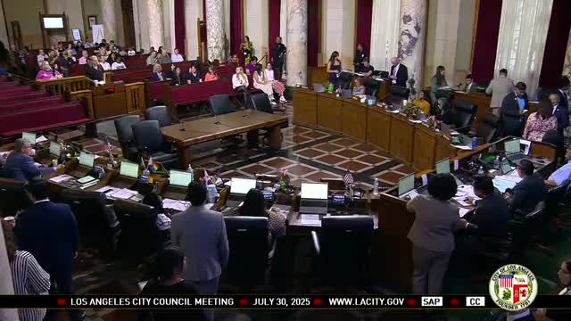 Tracy Park Community Member Calls Out Council Amid Budget Emergency Discussion