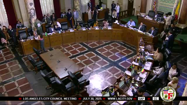 City Council Votes on Multiple Agenda Items Despite Audience Disruptions
