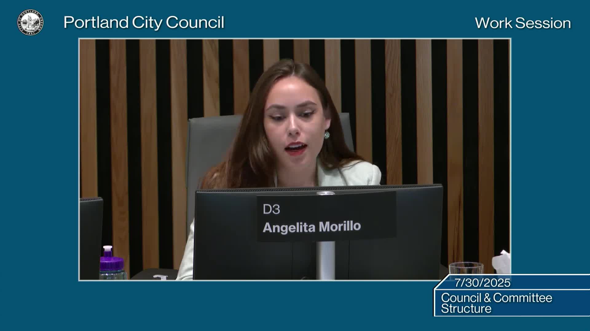 Portland Councilors Demand Access to Staff Expertise Amid Administrative Blockages