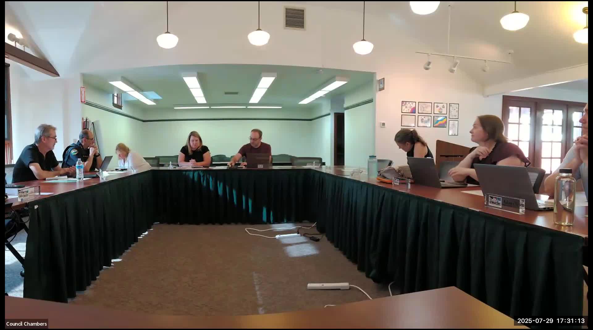 Duvall hears consultants on a potential property tax levy to cover police, parks and deficit