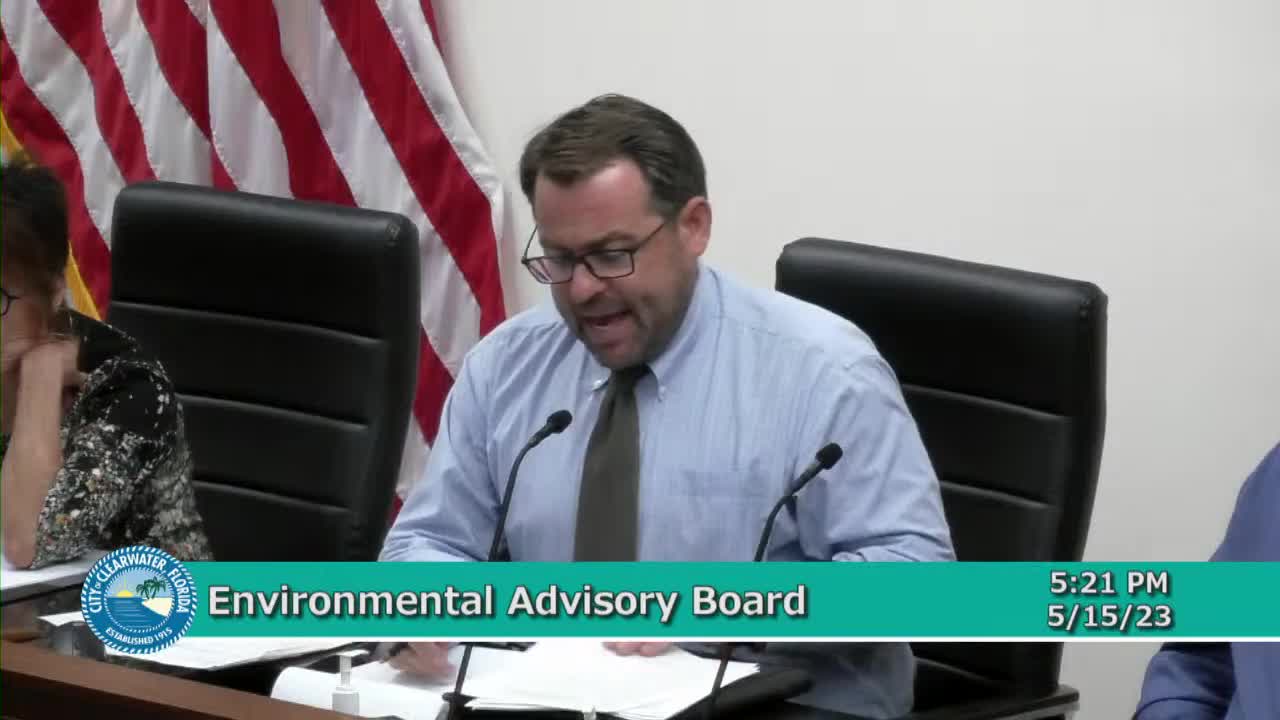 Clearwater Beach Board Considers Ordinance Against Shark Fishing for Public Safety