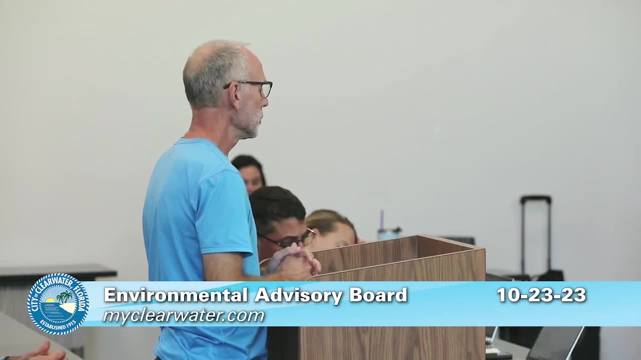 Clearwater Officials Address North Beach Flood Damage and Tree Removal Regulations