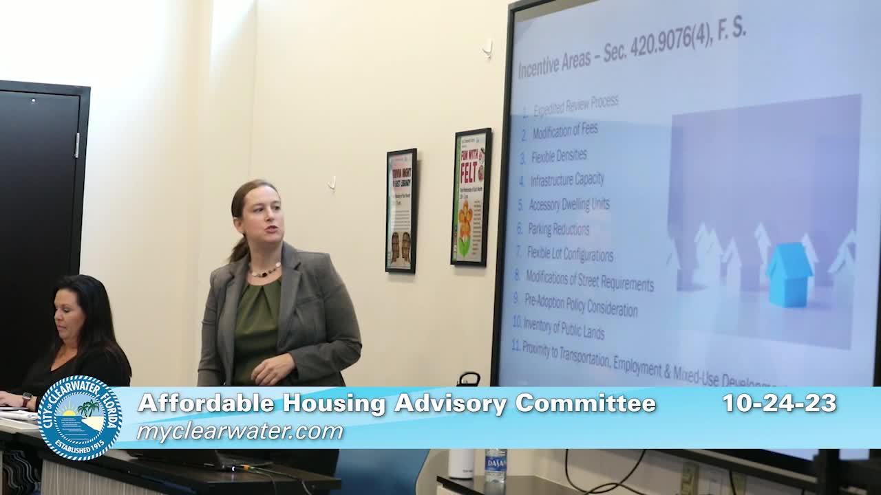 Committee Reviews 16 Housing Incentive Areas and Barriers in Florida