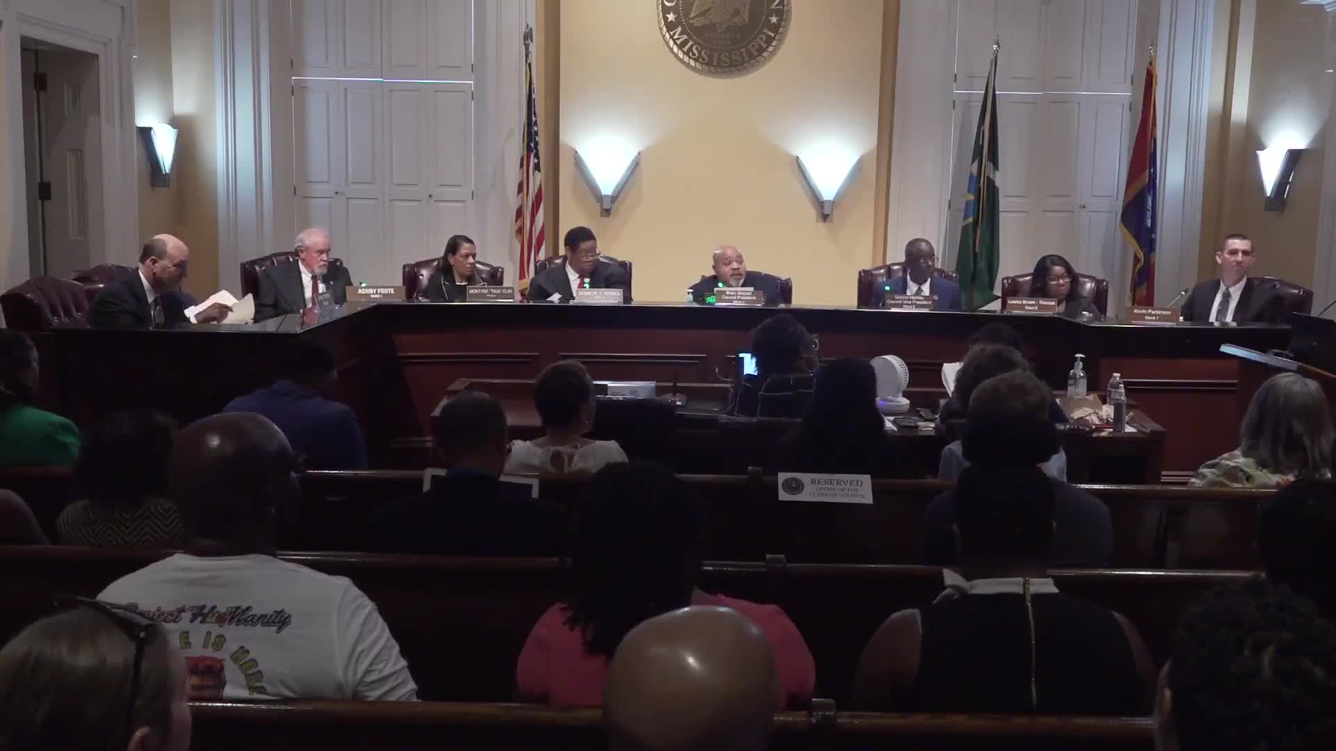 Council sets public hearing to consider amendment adding multifamily units to TIF district for Fund Run project