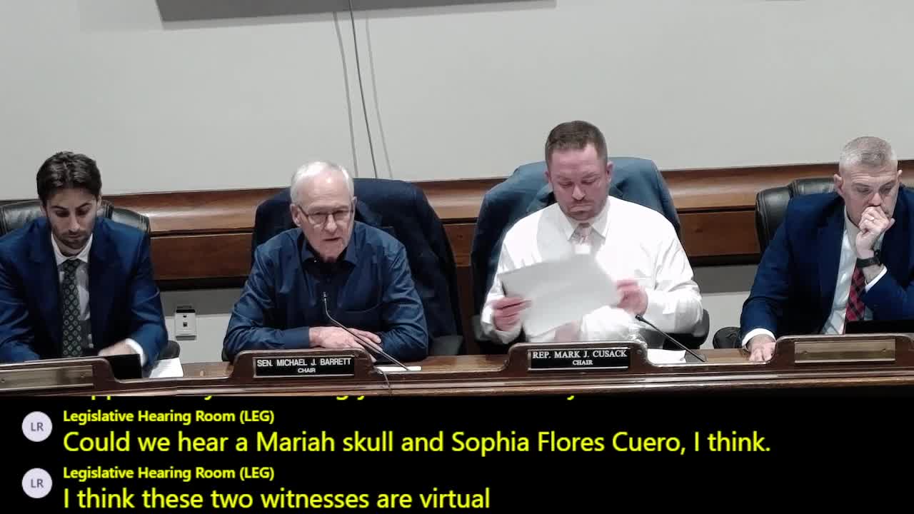 Students, developers and advocates press committee to prioritize battery storage and distributed procurement