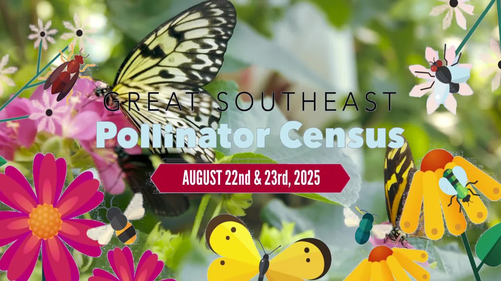 Volunteers urge Cobb County residents to join 15-minute pollinator census in August