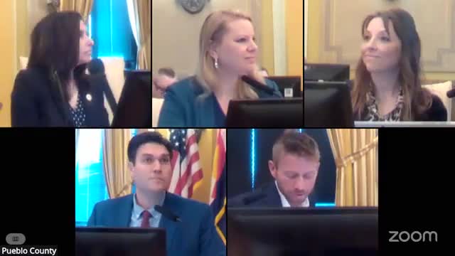 Residents raise lighting enforcement, election‑address and sexually violent predator concerns during public comment