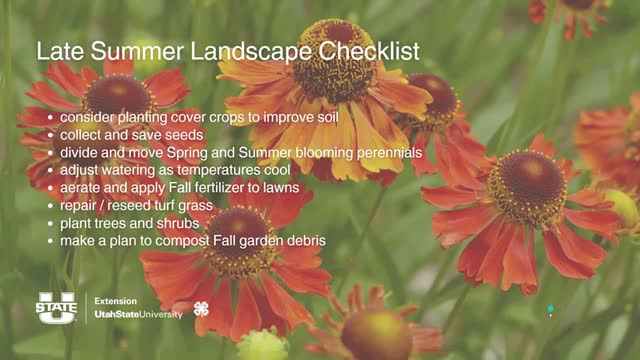 Extension agents: read labels, use PPE and water‑in pre‑emergents when converting lawns