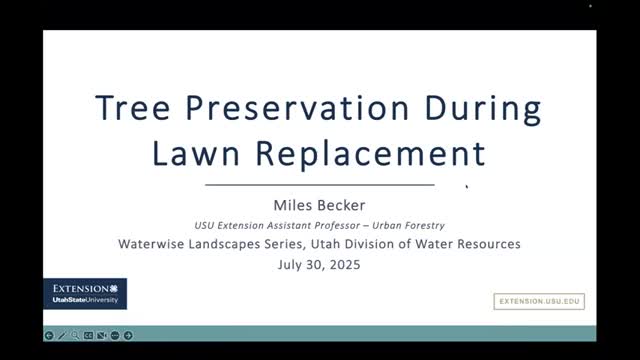 How to protect mature trees when replacing lawn with water‑wise landscaping