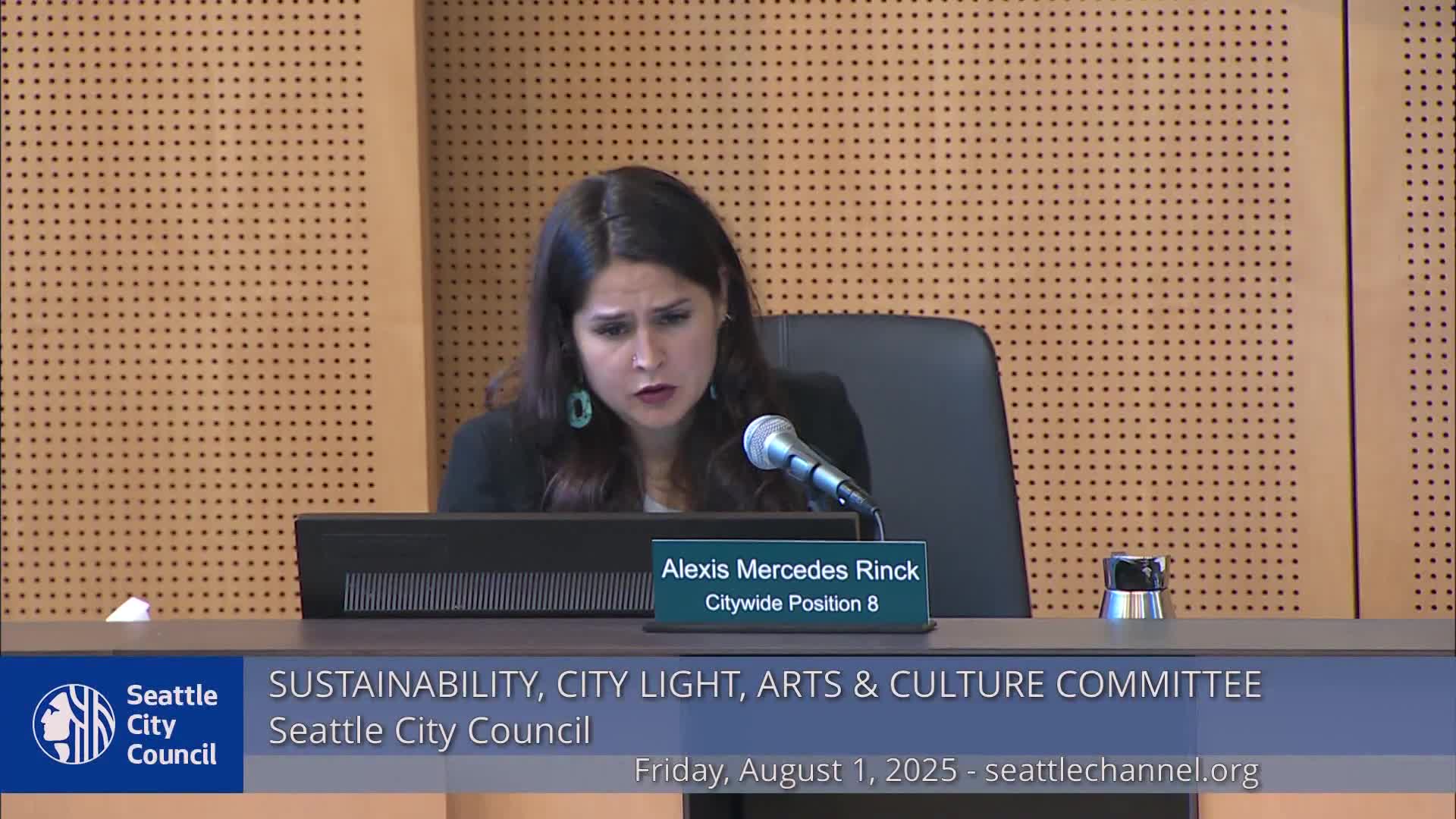 Arts office urges support for artist Nando Rocha after detention; committee member raises concern about ICE risk