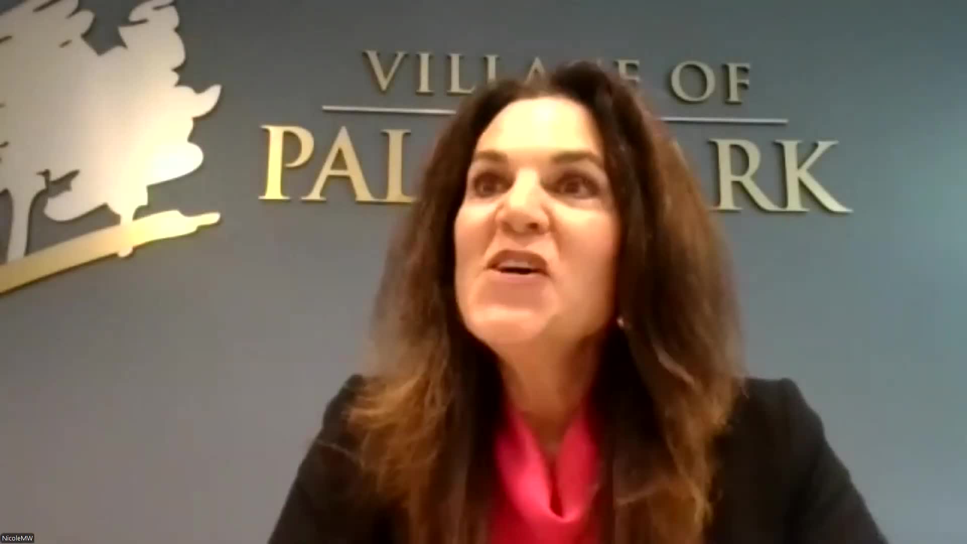 Village seeks sponsors for outdoor fitness court at Hills Park