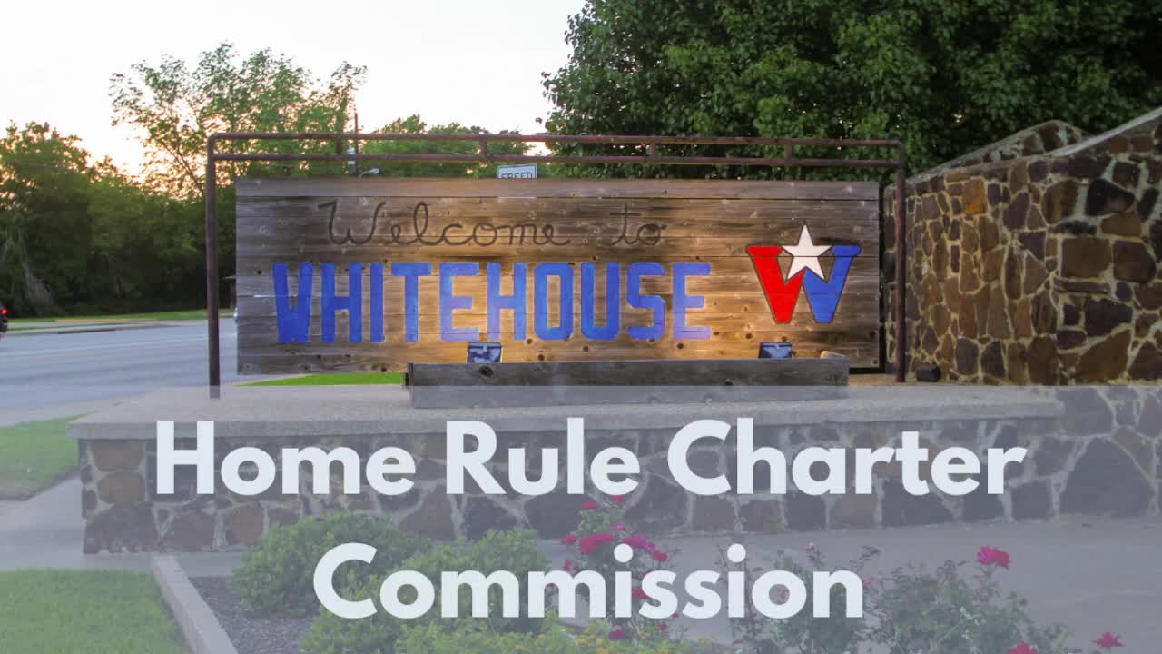 Charter review panel urges council to adopt cleanup edits, send substantive changes to voters