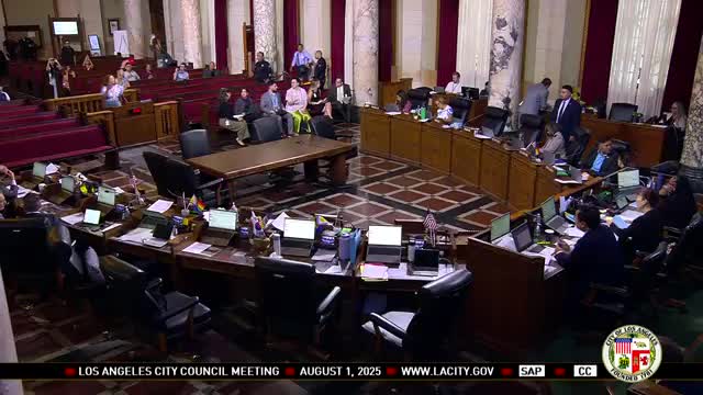 Public Speaker Urges City Council to Enhance Community Resources Amid Safety Concerns