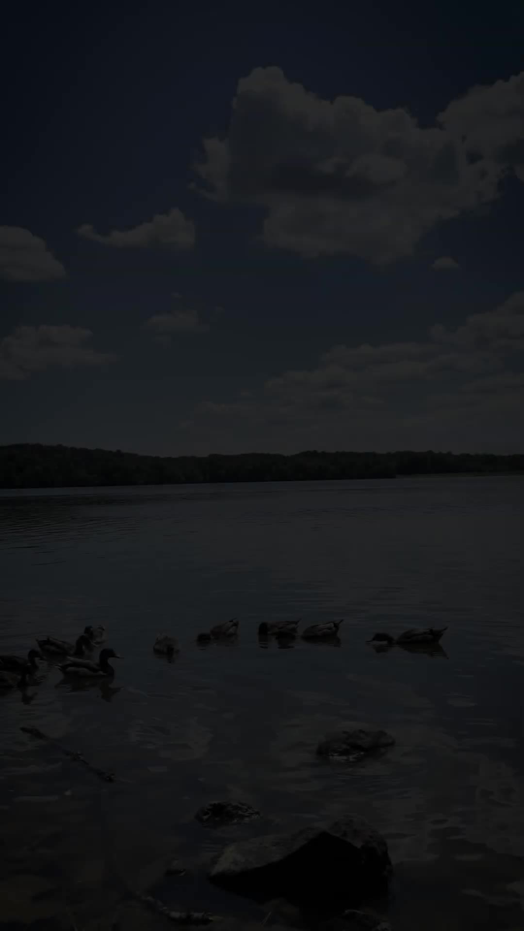 Cane Creek Park Rangers Discuss Community Impact and Environmental Stewardship