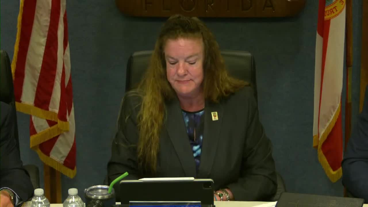 Pinellas Park advances rezoning for 10‑lot subdivision; first reading passes 3‑1