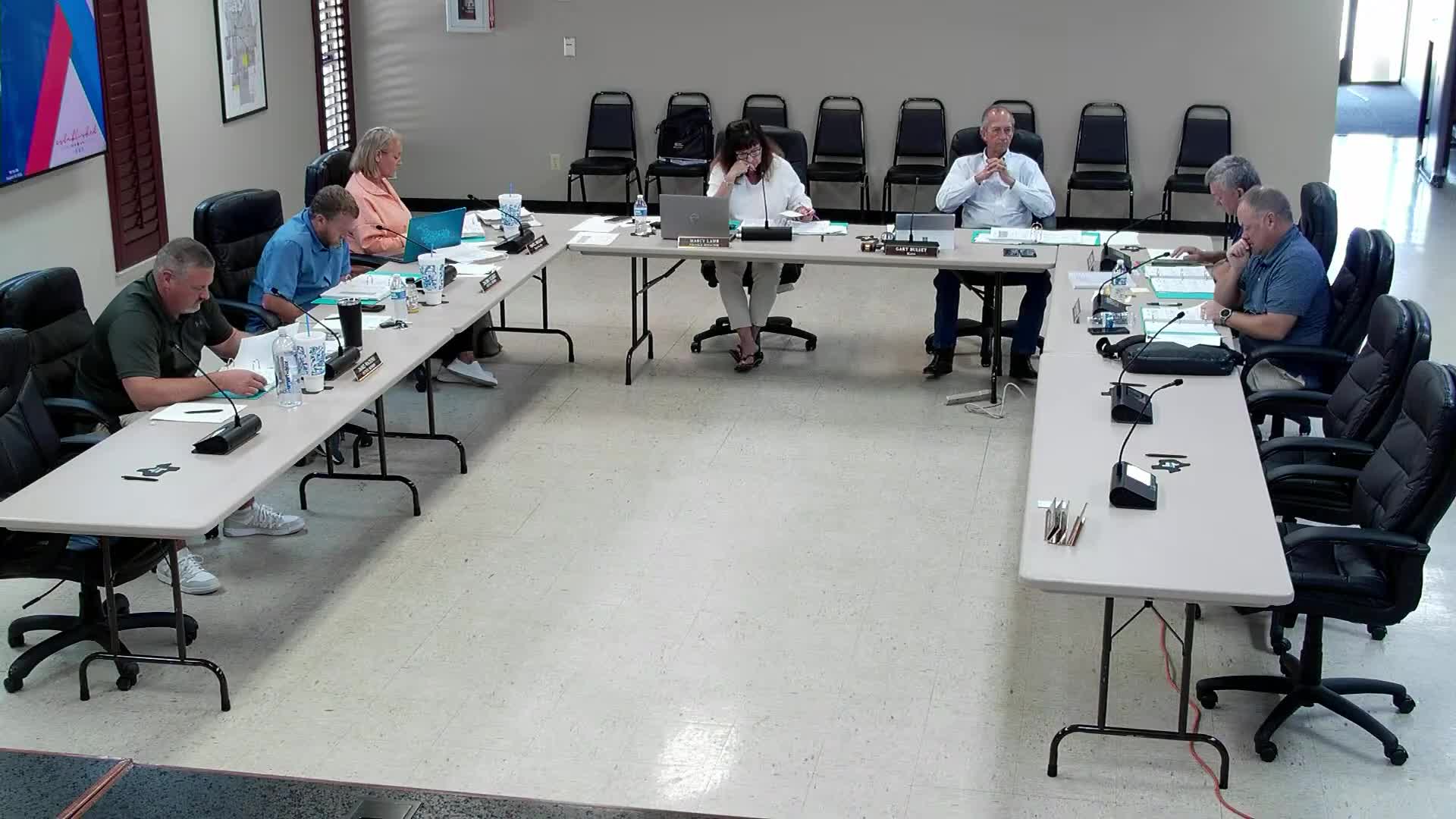 Council asks staff to study master plan for parks, delays major park construction pending review