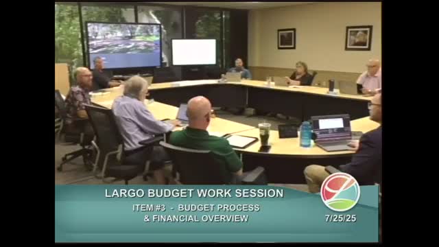 Council Discusses Potential $200K Budget Cuts Ahead of Military Hearing