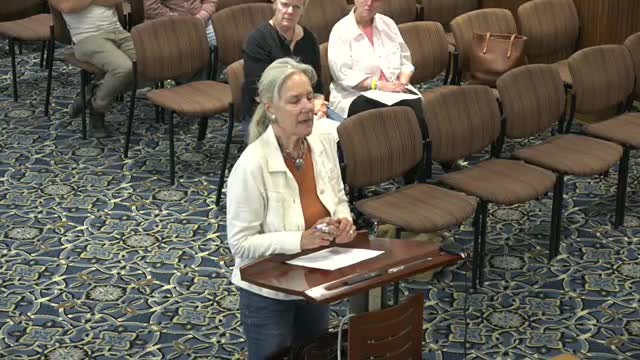 City Council Discusses Parking Concerns for New Townhome Development on Fifth Street