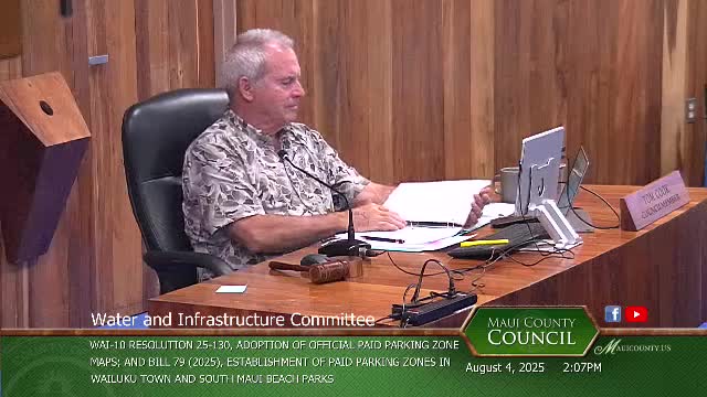 Maui Project Director discusses potential revenue impacts after Lahaina fire