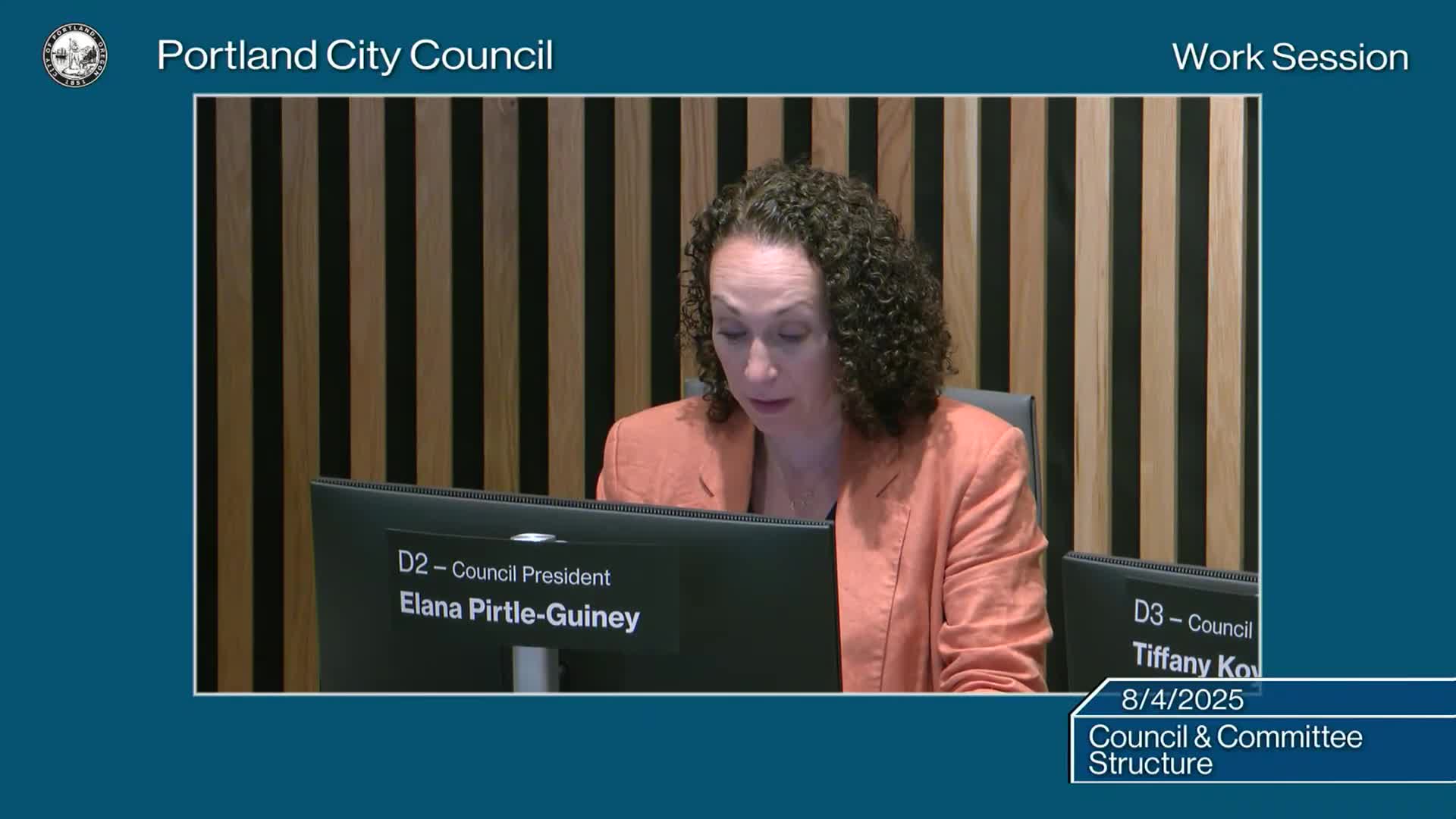 Councillor Zimmerman advocates for flexible committee structures during council meeting