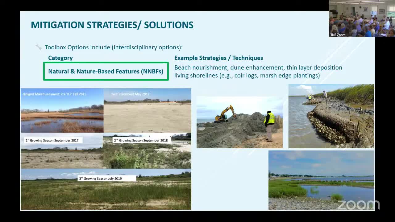 Coastal Management Strategies Highlight Hybrid Shoreline Protections and Dune Restoration Techniques