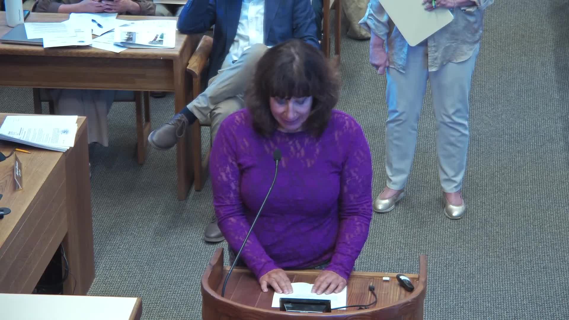 Council Denies Appeal as Residents Support Local Coastal Project Approval