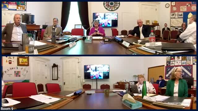 Committee agrees to draft memo urging review of ICE/CBP detention contract and operational fixes