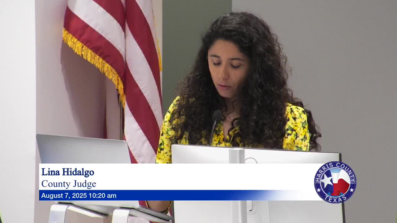 Commissioners Discuss Early Childhood Education and Community Support Programs in Harris County