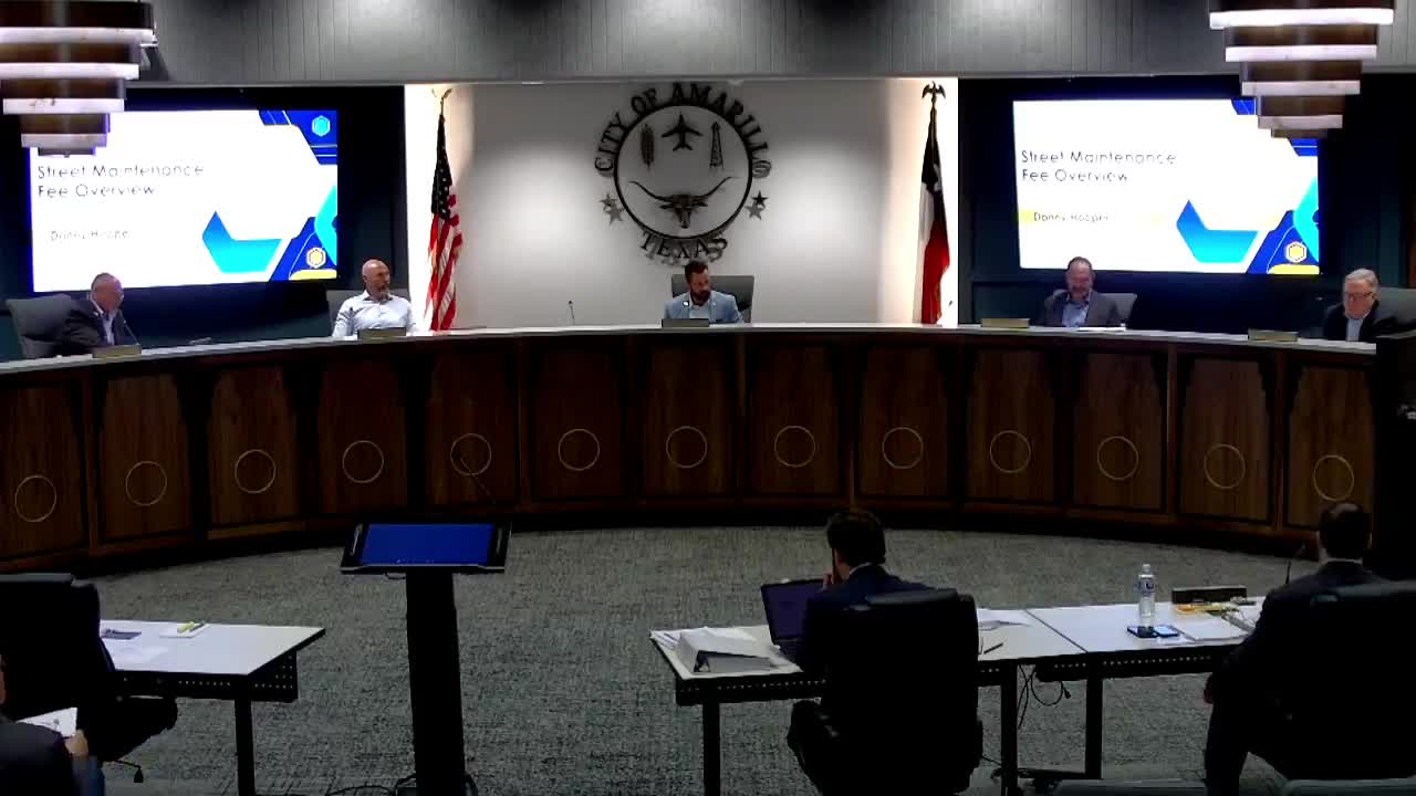 Transportation Committee reconvenes to discuss city transit plans