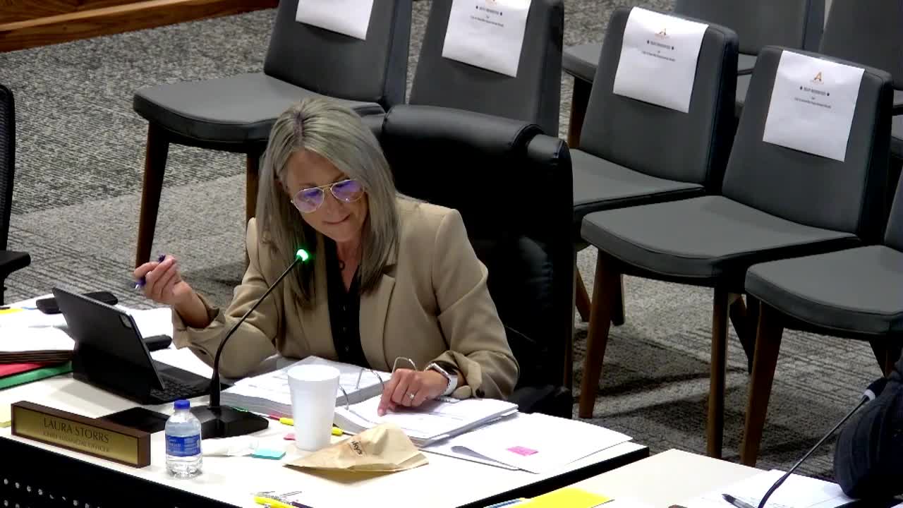City Council reviews budget for IT and risk management amidst rising software costs
