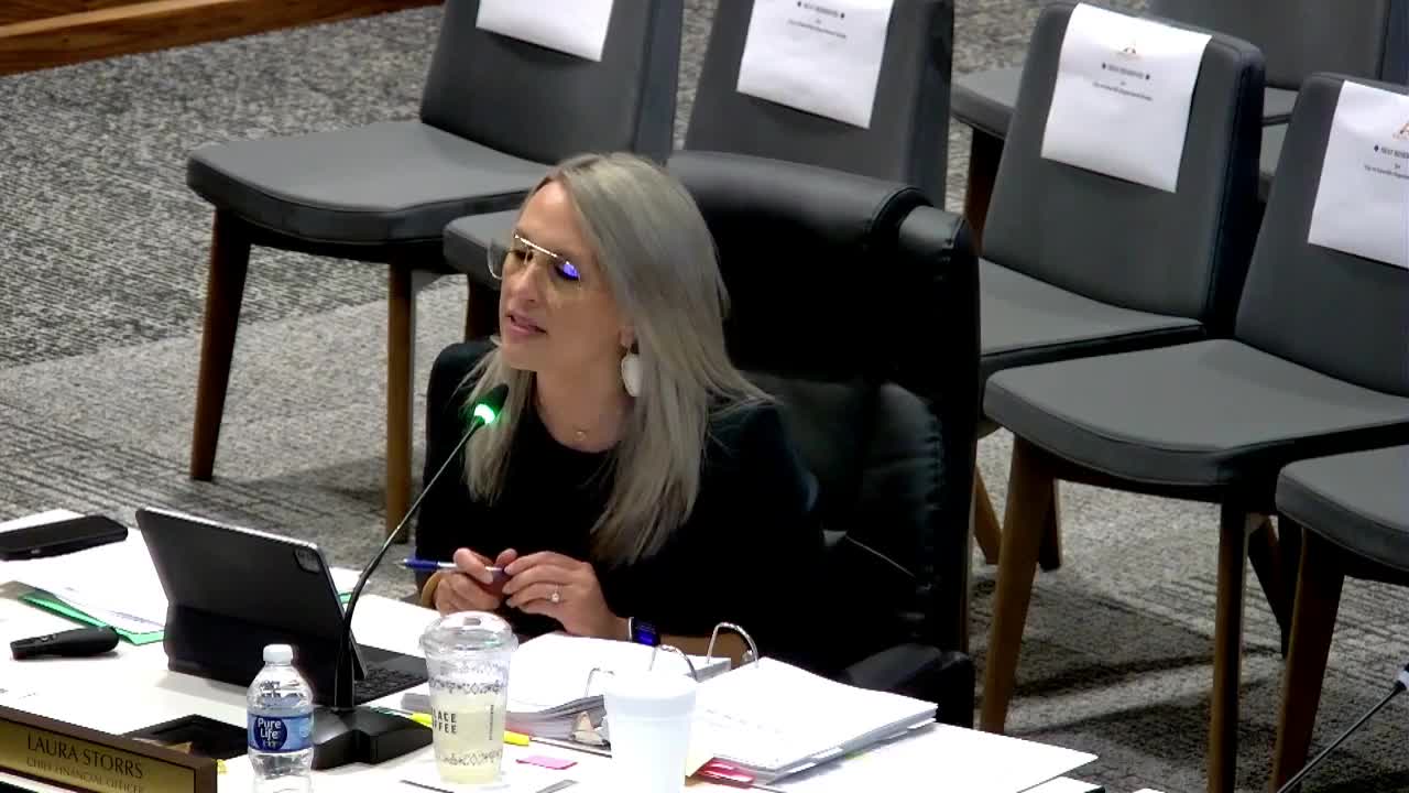 City Council Explores Co-Working Space Opportunities at Libraries for Downtown Growth