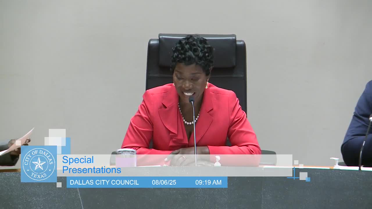 Dallas Residents Highlight Urgent Safety and Maintenance Issues at City Council Meeting