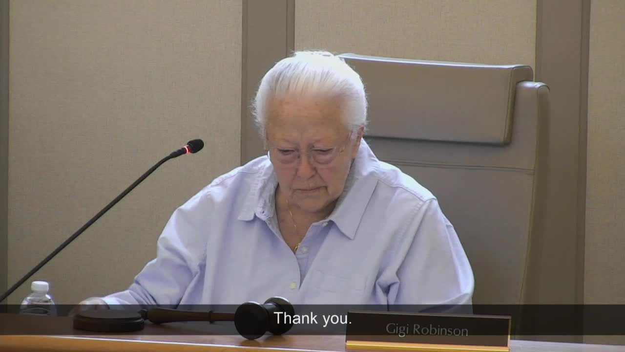 Leesburg Planning Commission Holds Meeting with Remote Participation