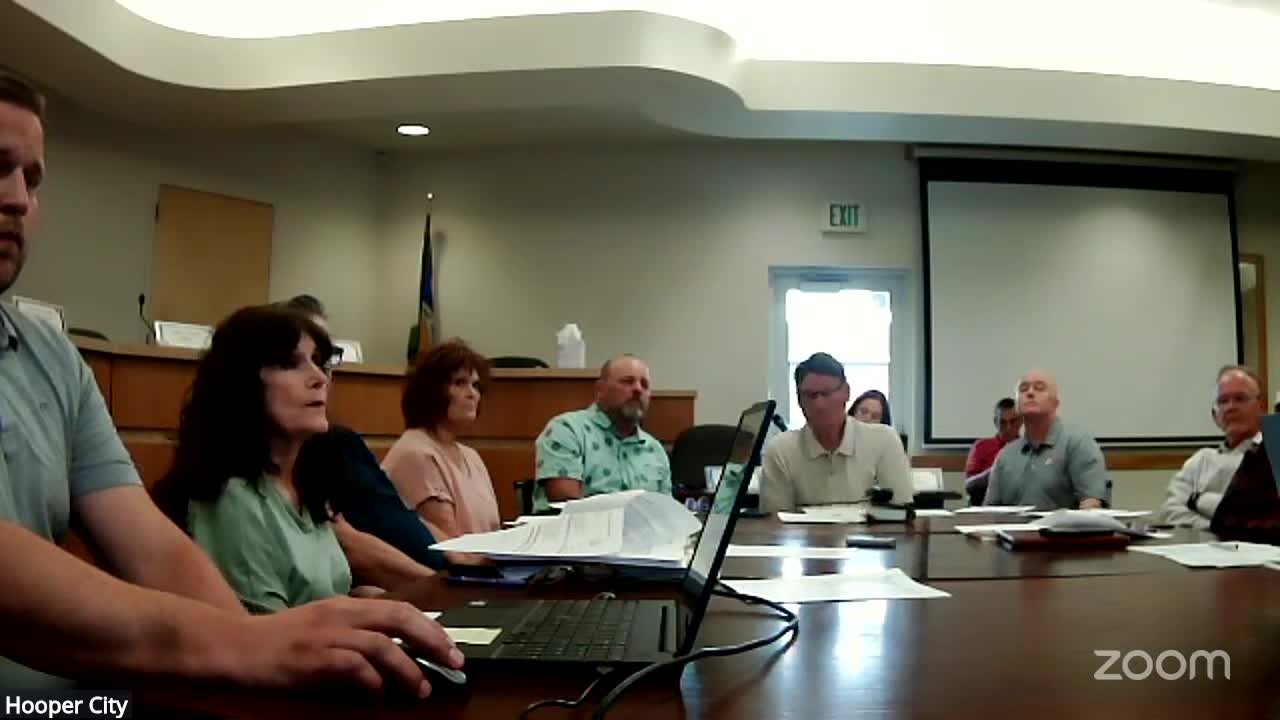 Consultant Urges Caution on Residential Development Without Commercial Approval in City Project