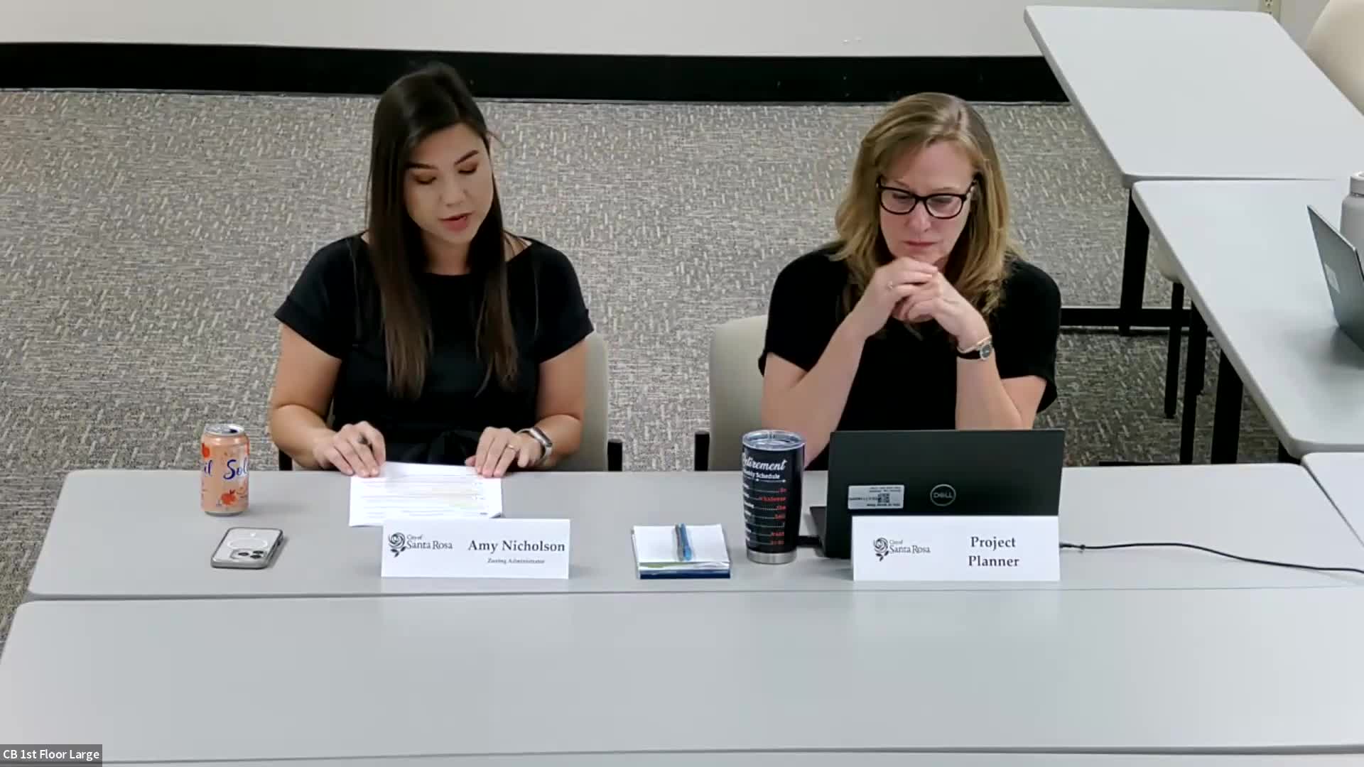 Zoning Administrator Amy Nicholson addresses city meeting on land-use regulations