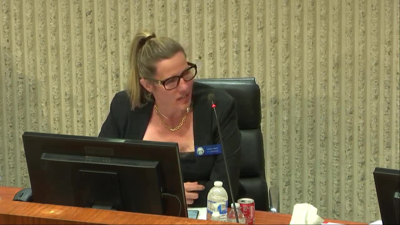 Costa Mesa Commissioners Advocate for Public Art Reflecting City History and Diversity
