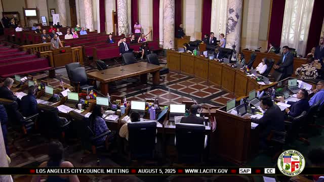 Speaker Critiques DCR Fees and Supports Palestinian Rights in LA Council Meeting