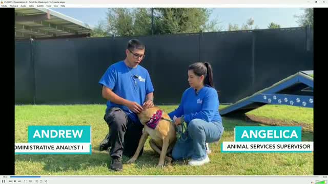 Western Riverside County Shelter Promotes Adoption of Thor During August Event