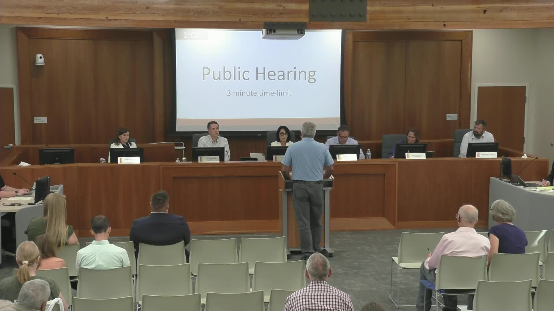 Carrie Thompson advocates community involvement over tax hikes during city council meeting