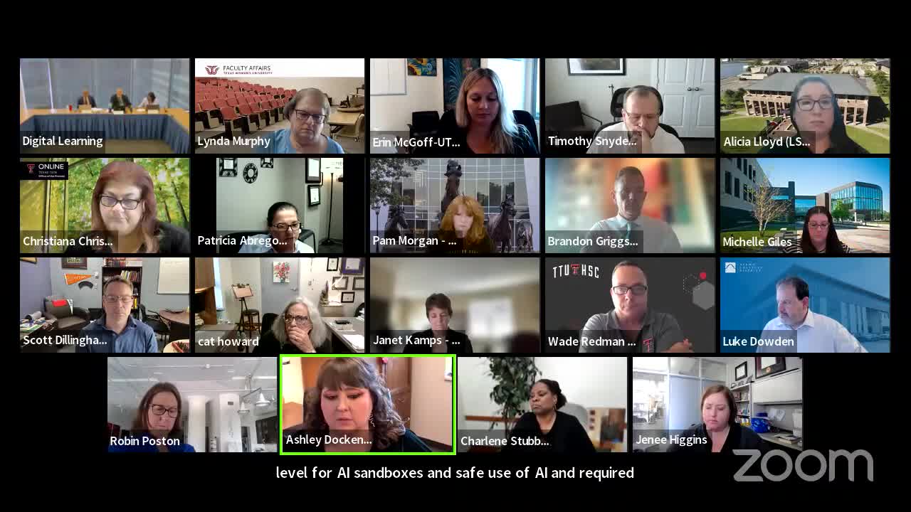 Participants Discuss AI Integration with TDR's John Hoffman during Meeting