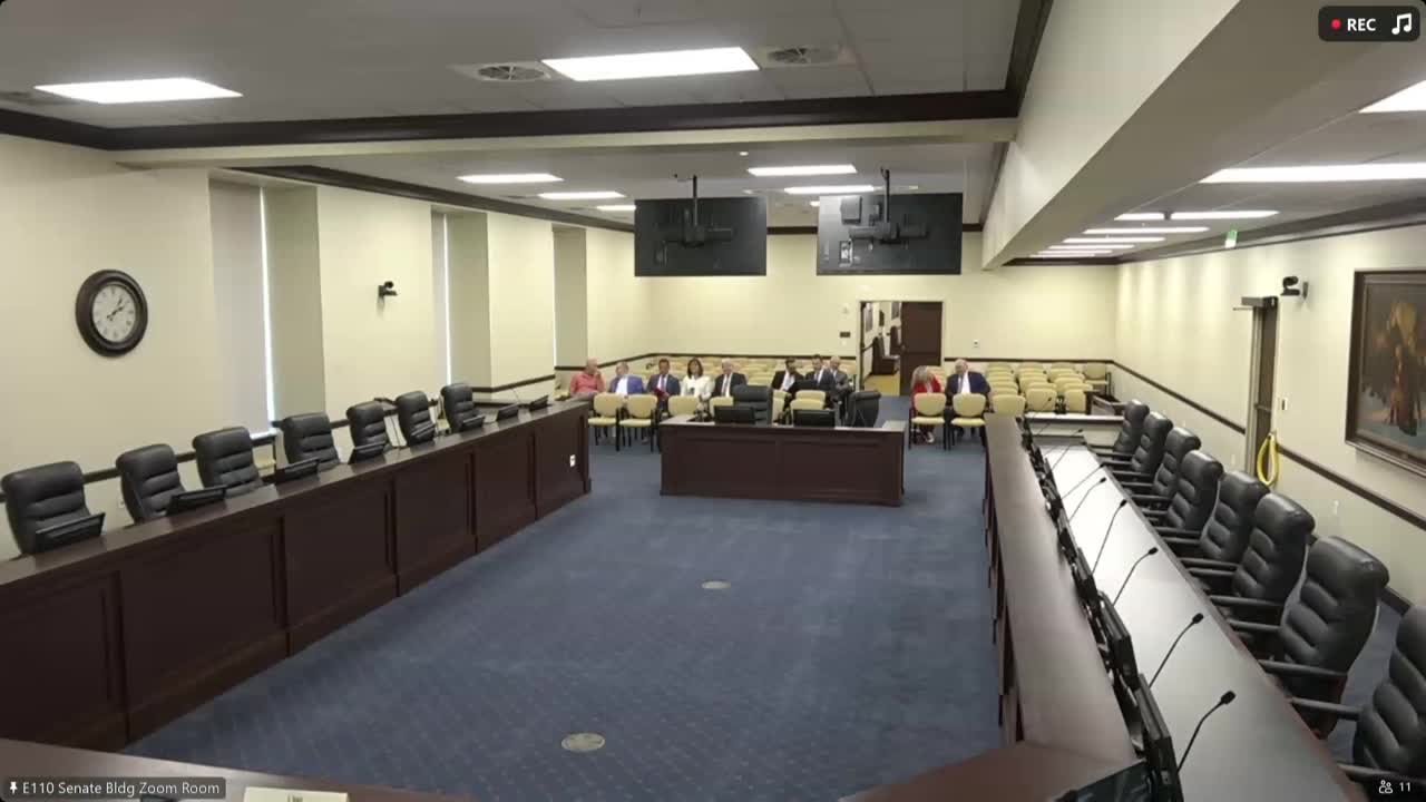 Senate Meeting Commences With Quorum Confirmed Despite Online Attendance