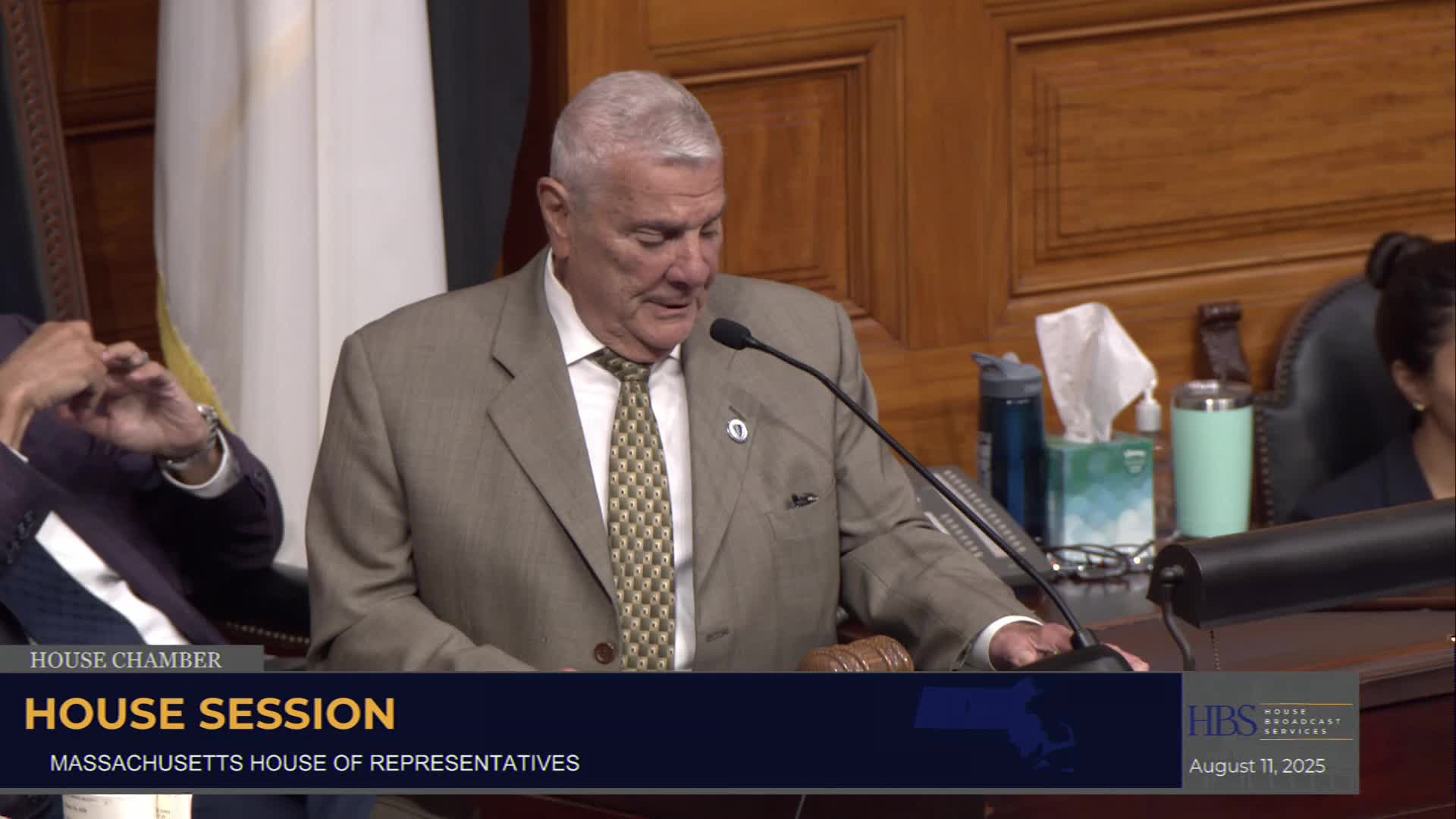 House suspends joint rule 12, refers multiple petitions and advances local bills