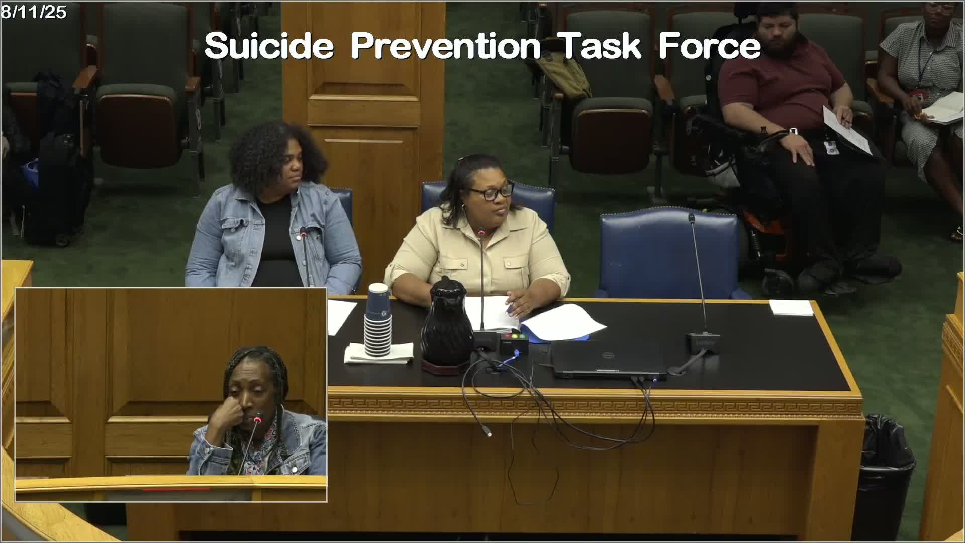 Legislators Examine Suicide Data Trends and Impact on African American Males