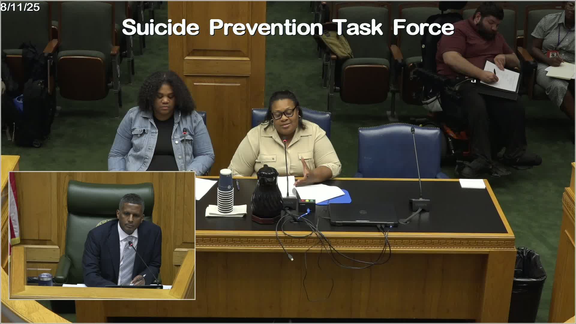 Task Force Calls for Louisiana Suicide Data Hub Amid Lack of Reporting Mandate