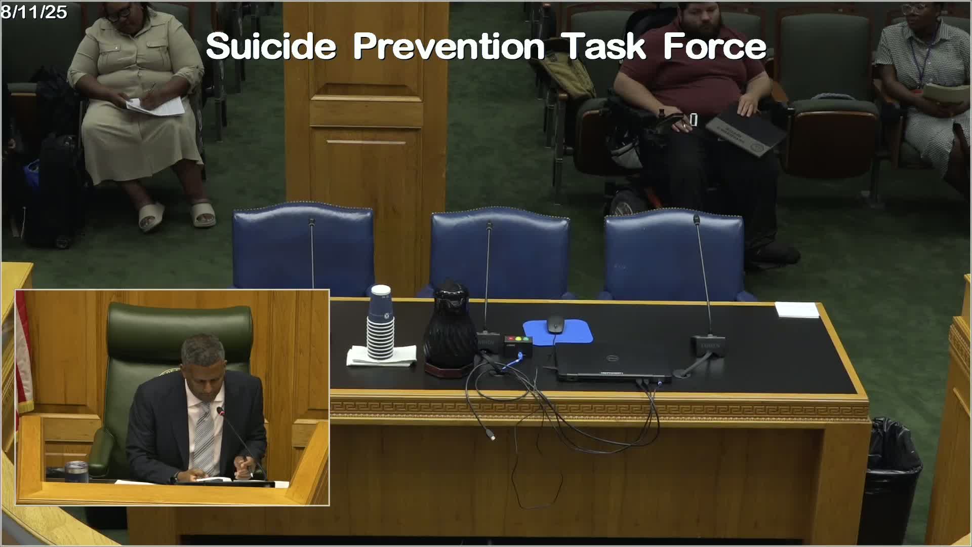Louisiana Task Force Addresses Rising Suicides Among African American Youth